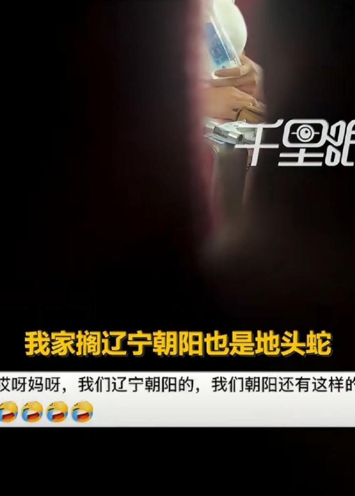 见过不讲理的，没见过这么嚣张的。7月27日，辽宁沈阳一趟高铁。本来安安静静的