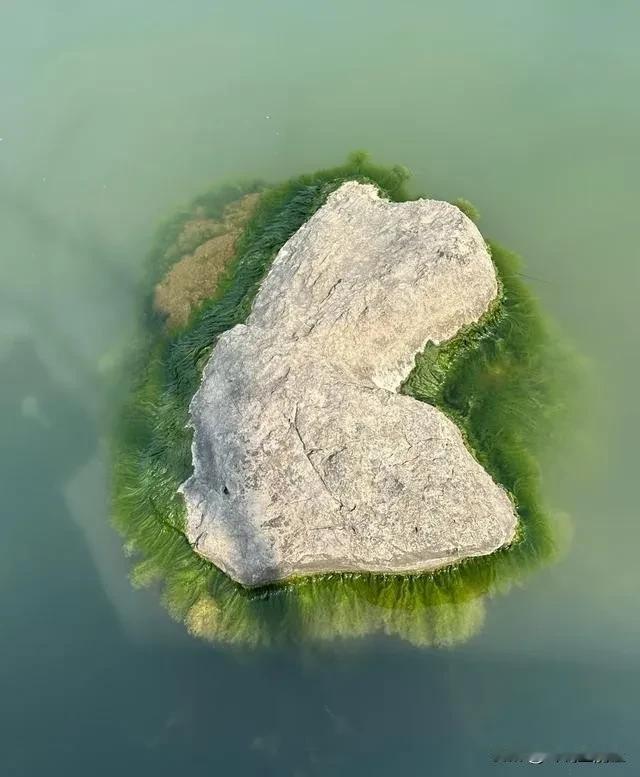 男人永远拿捏不了这样的一个女人，我可以爱你，但我不在乎你！因为女人不能靠感
