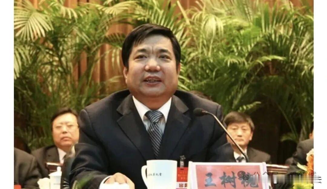 退休5年之后，在这个飘着槐香的春天，66岁的王树槐被查。虽然退休前的最后一个职务