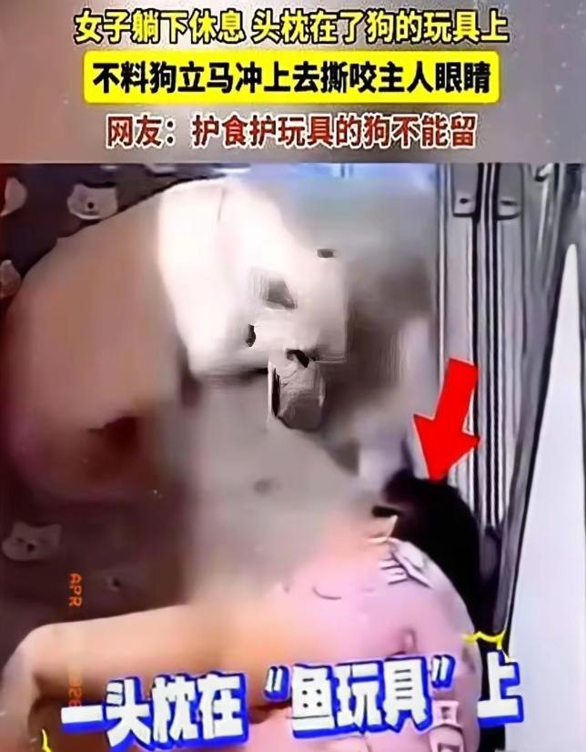 黑龙江哈尔滨，陶女士，养了五年的狗，三秒钟把她咬成了终身残疾。那天她下班回家，