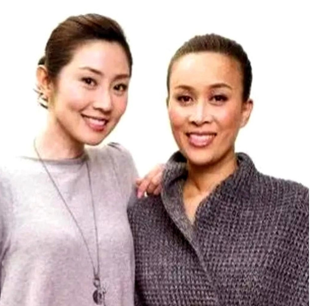 蔡国庆这事儿我小时候就听过八卦了谁能想到那英和那辛还有这段姐妹暗线啊那辛年轻