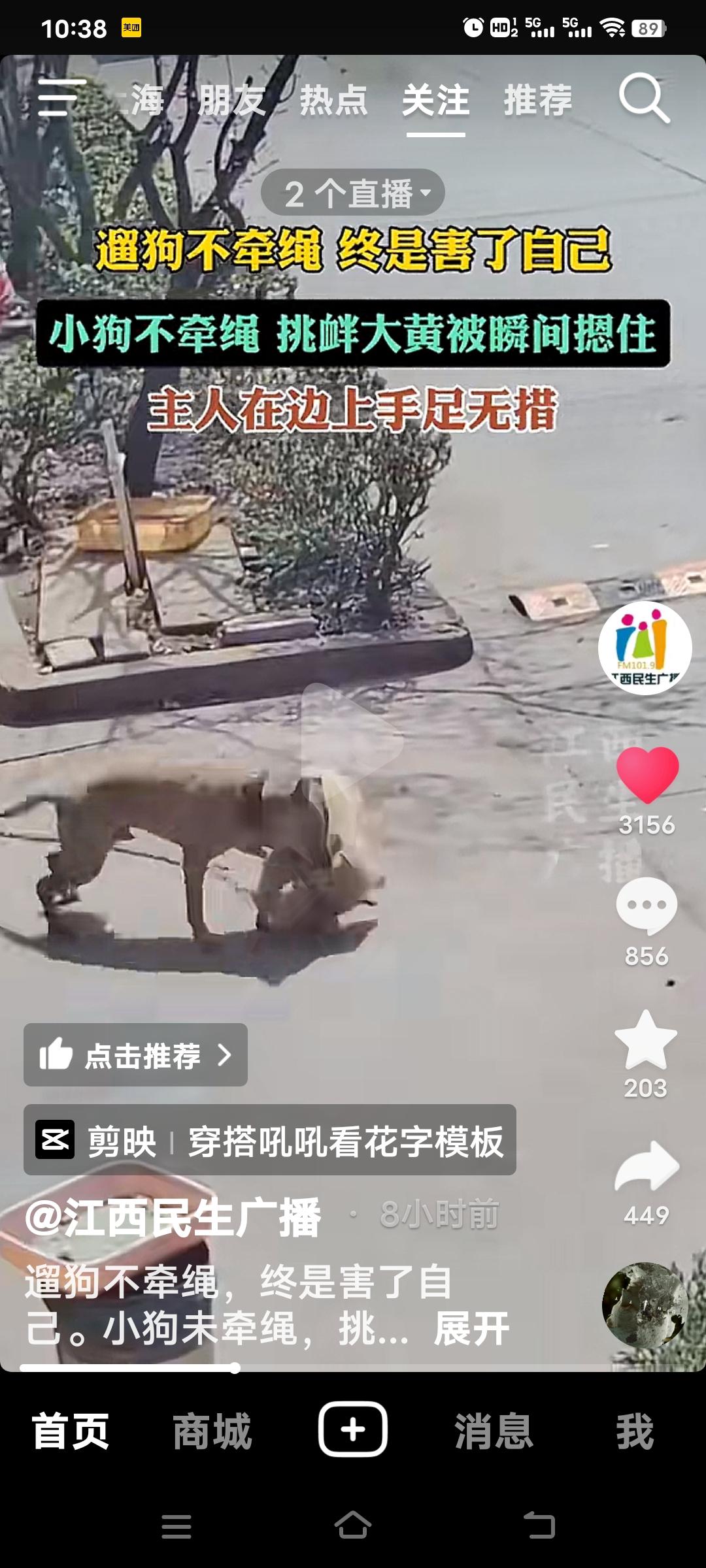 遛狗不牵绳，终究是害了自己。看看下面这件事你就明白了。一只小狗没拴绳，还去挑衅大