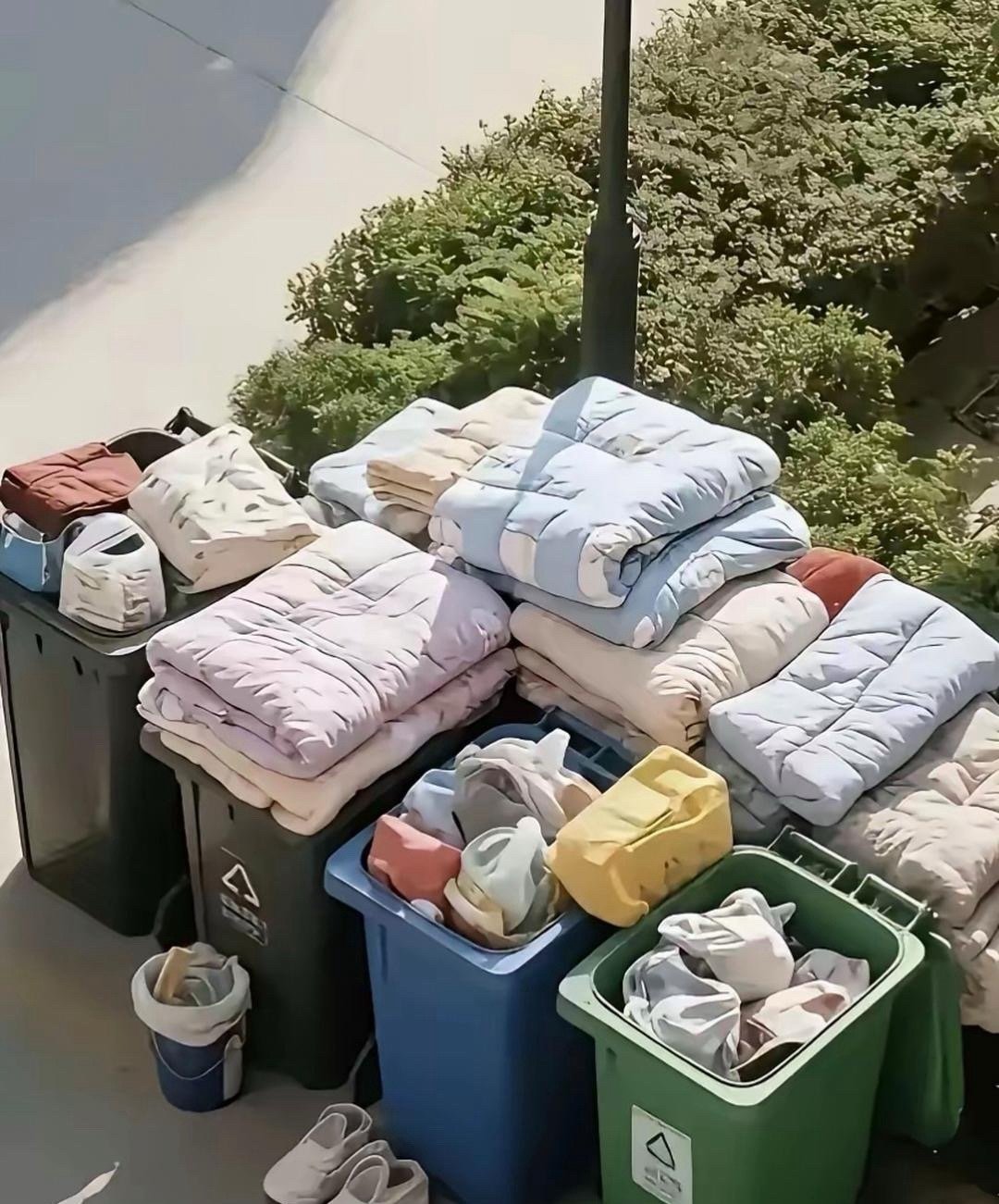 每年毕业扔了不少东西这也太浪费了