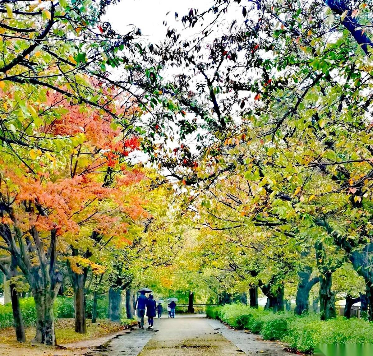 我算是看明白了。现在这个世道，你再怎么骂996，再怎么说躺平，那都只是嘴上爽爽