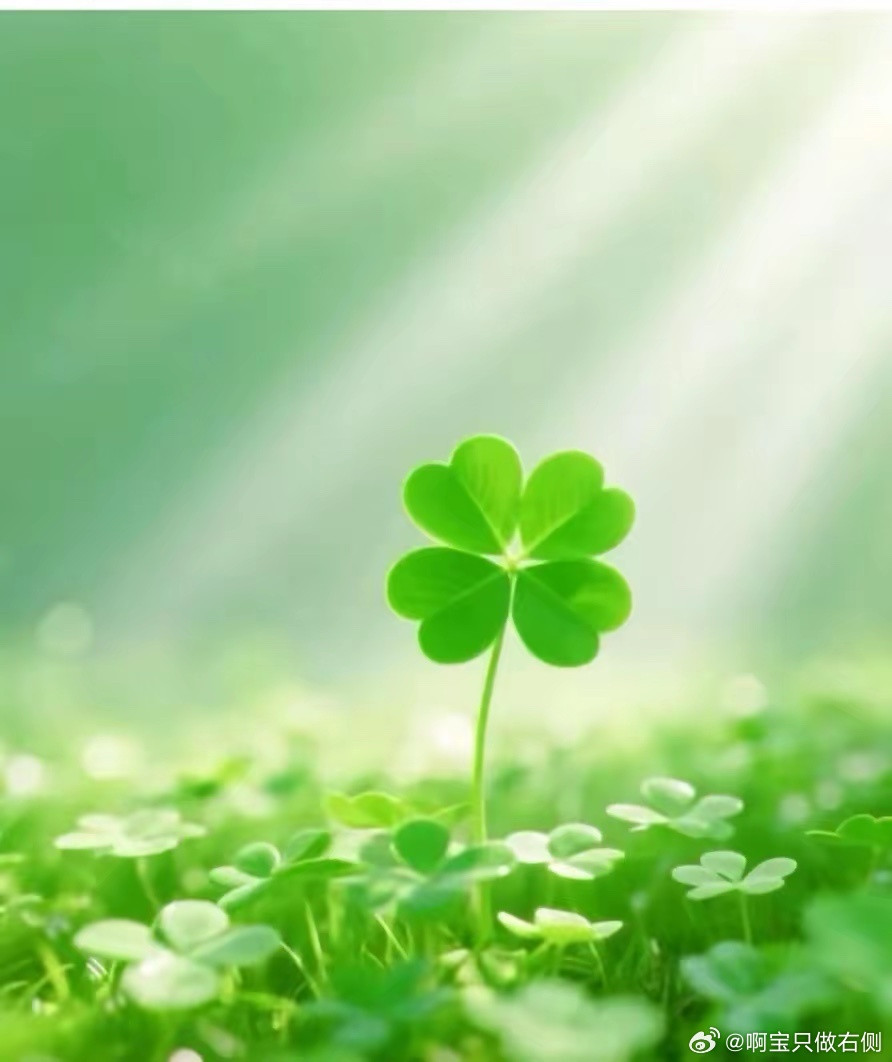 差点忘了提醒大家了！今天不是一个普通的6月5号，就在今天晚上6月5号的晚上11点