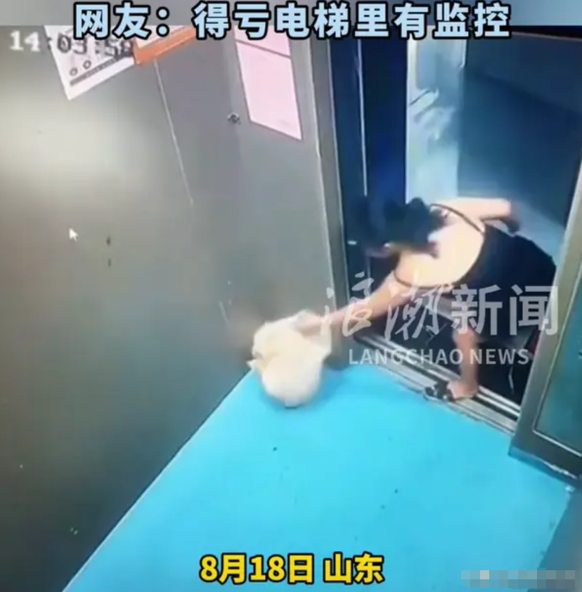 “现在人的素质，真是无药可救”。山东一名年轻女子，简直懒惰到极点。生活垃圾都懒得