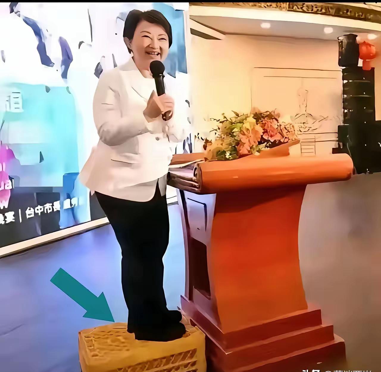 吴子嘉揭露卢秀燕真面目，还在梦想2028，没戏了！吴子嘉这回说了大实话。他直