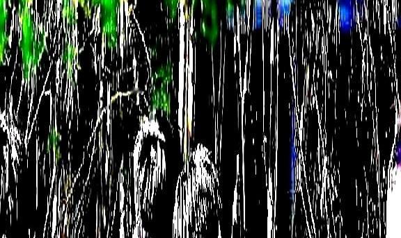 樊振东走了，去德国打球了刚落地那会儿他们训练馆可把大伙儿惊着了教练组整了个