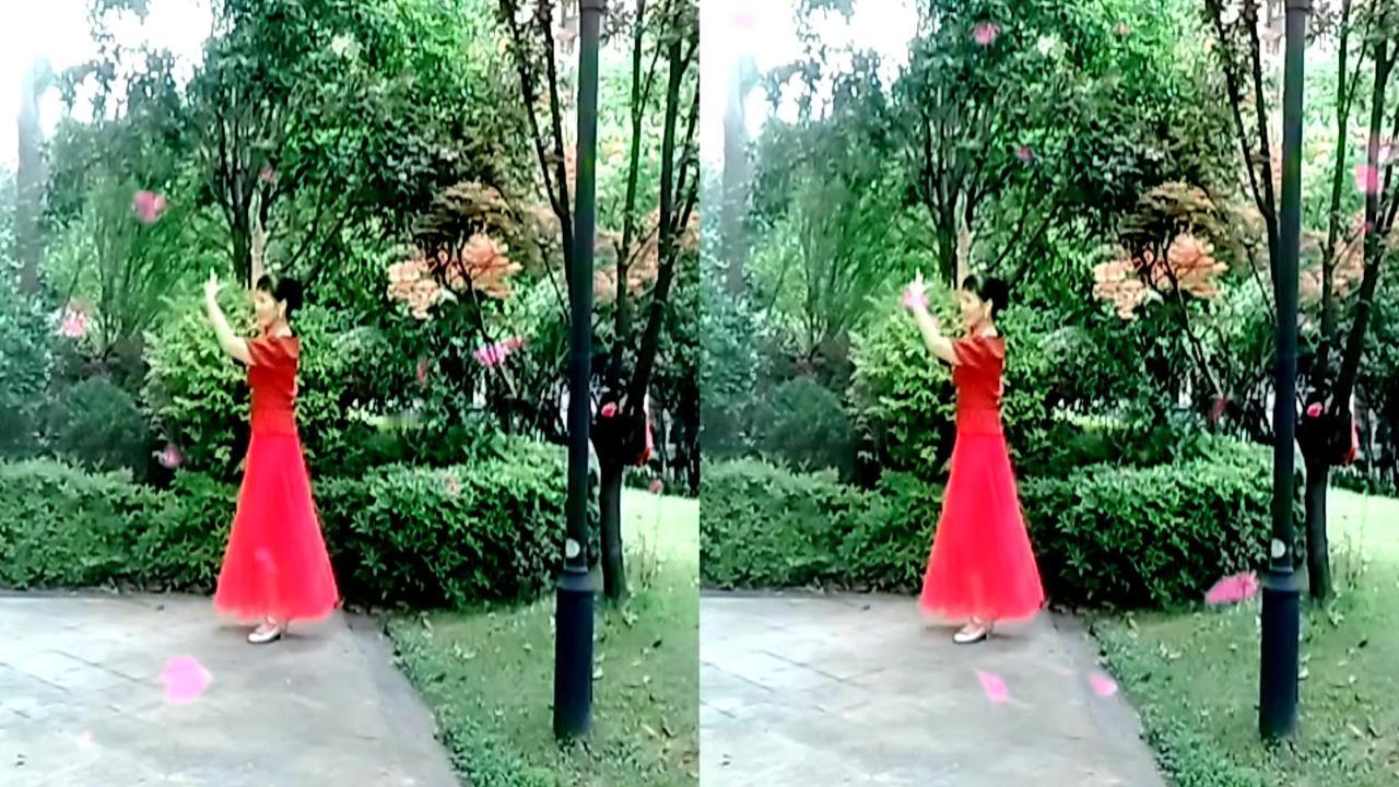 🌺✍把美好的祝福，当成一天的开始，把相互的问候，视作清晨的贺礼。让我们伴着不老