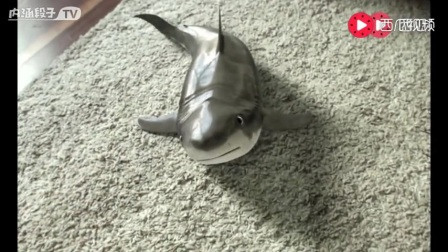 2935826649256609016.jpg?id=0