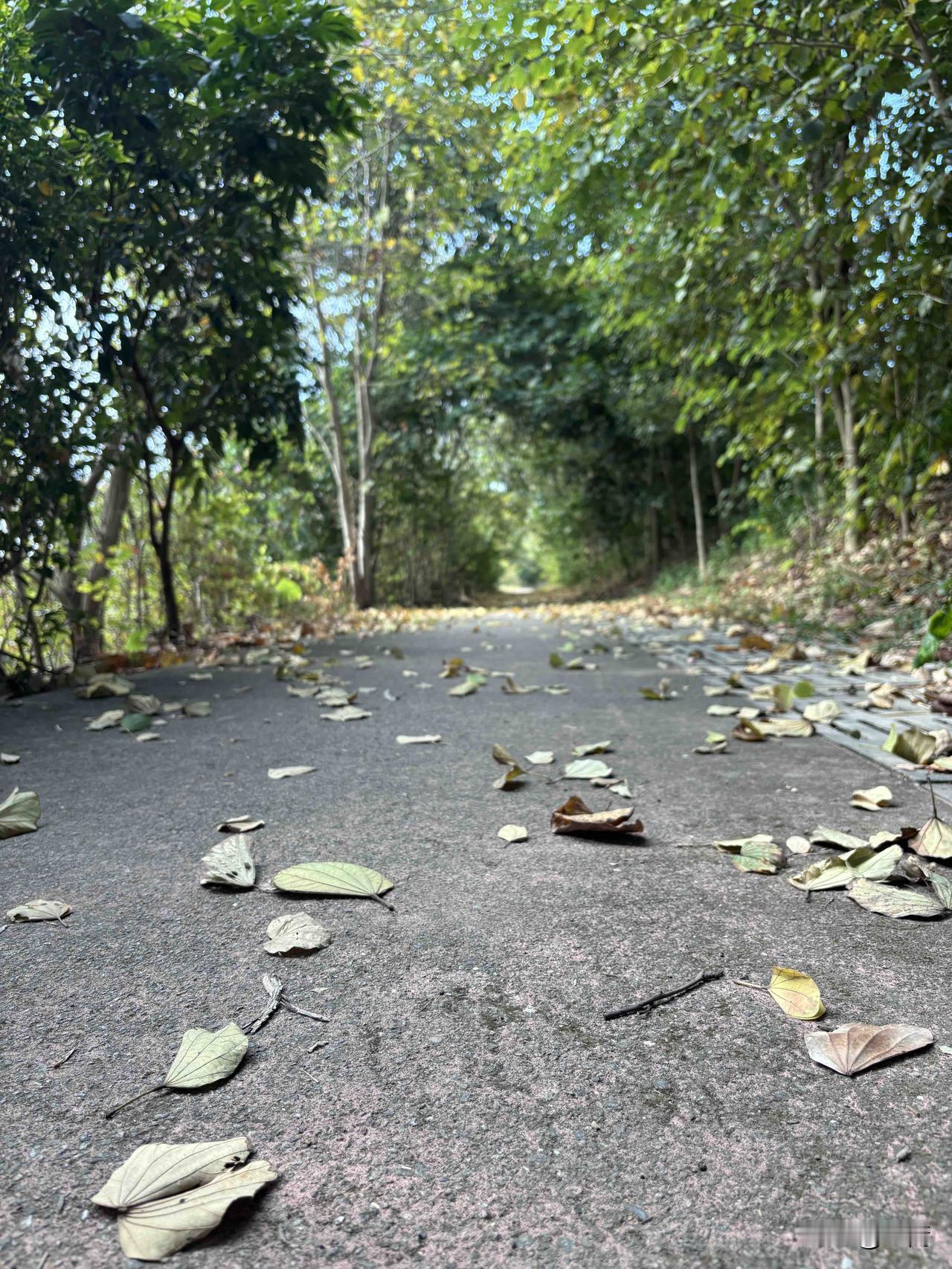 周末市场又开始出现降温信号，下周注意风险:1.限制交易的个股:锋龙股份。