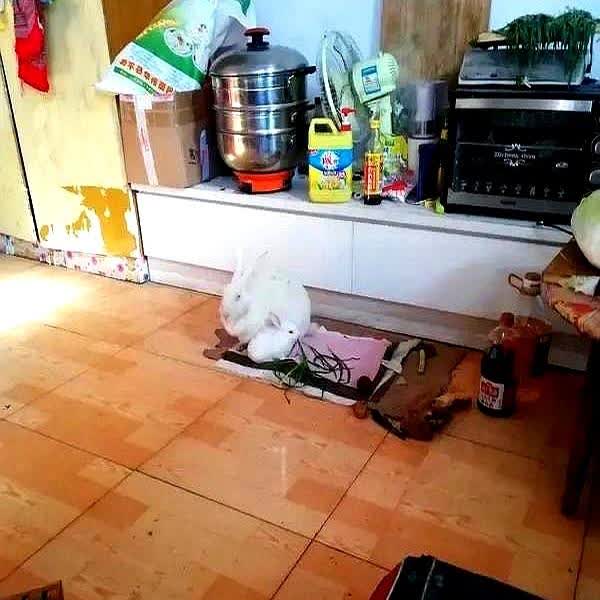 一女子打麻将回家太晚，怕吵醒老公，在客厅把衣服月兑光，轻手轻脚地上床睡觉，可老公