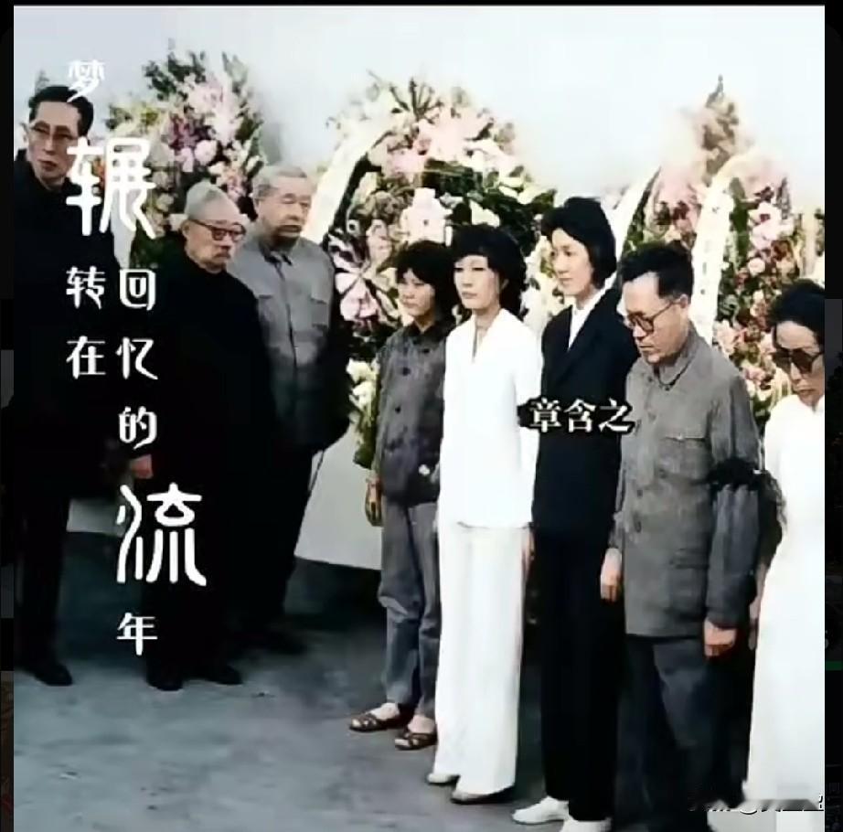 1973年7月，章士钊先生追悼仪式现场，白花环绕的肃穆会场里，留下了这一张令人动