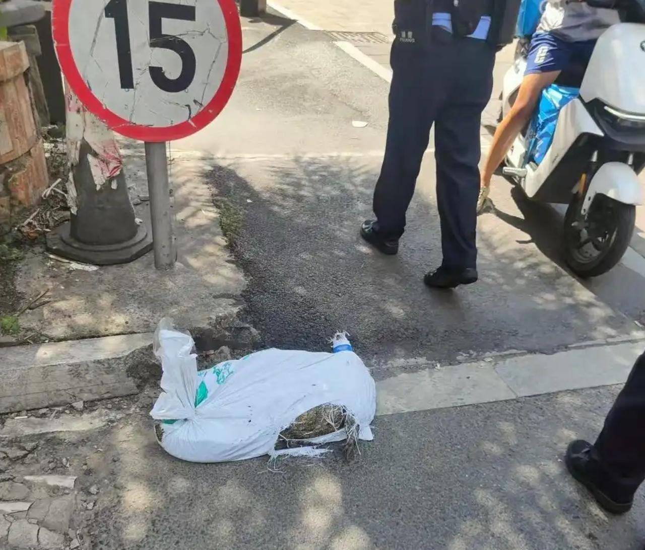 9月4日，广州市的关先生在货拉拉上接了一个跑腿的订单，荔湾区的商家要求将一条鳄鱼