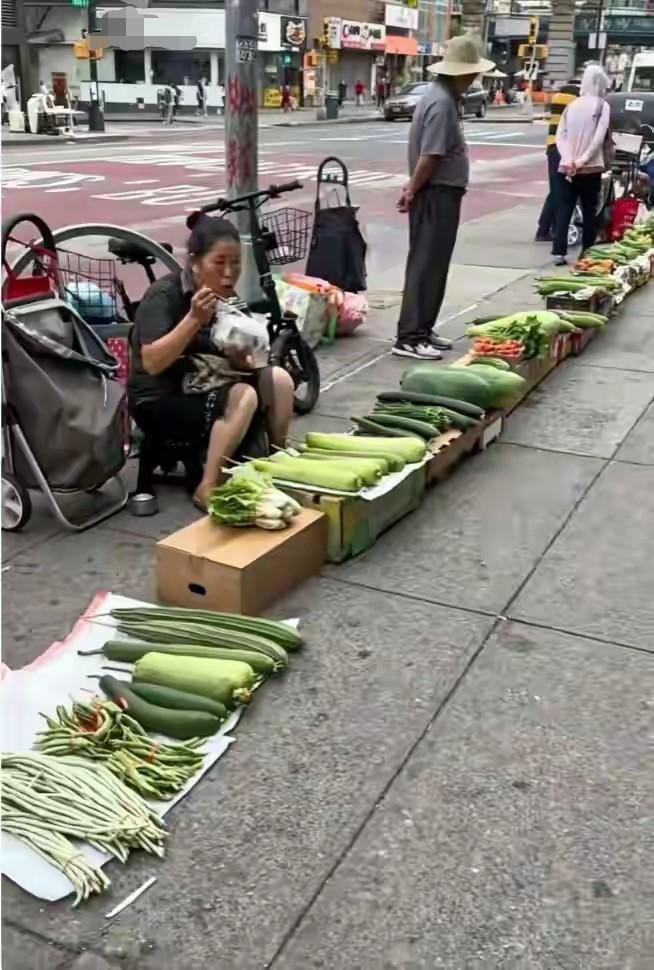 都说美国是世界上最发达的国家，怎么也有路边小摊小贩，这与国内小镇有什么区别。看来