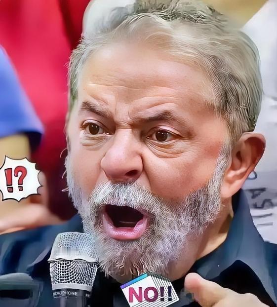 巴西对华新消息！12月3日，巴西外贸委员会正式宣布，取消对中国义乌华鼎锦纶公司尼