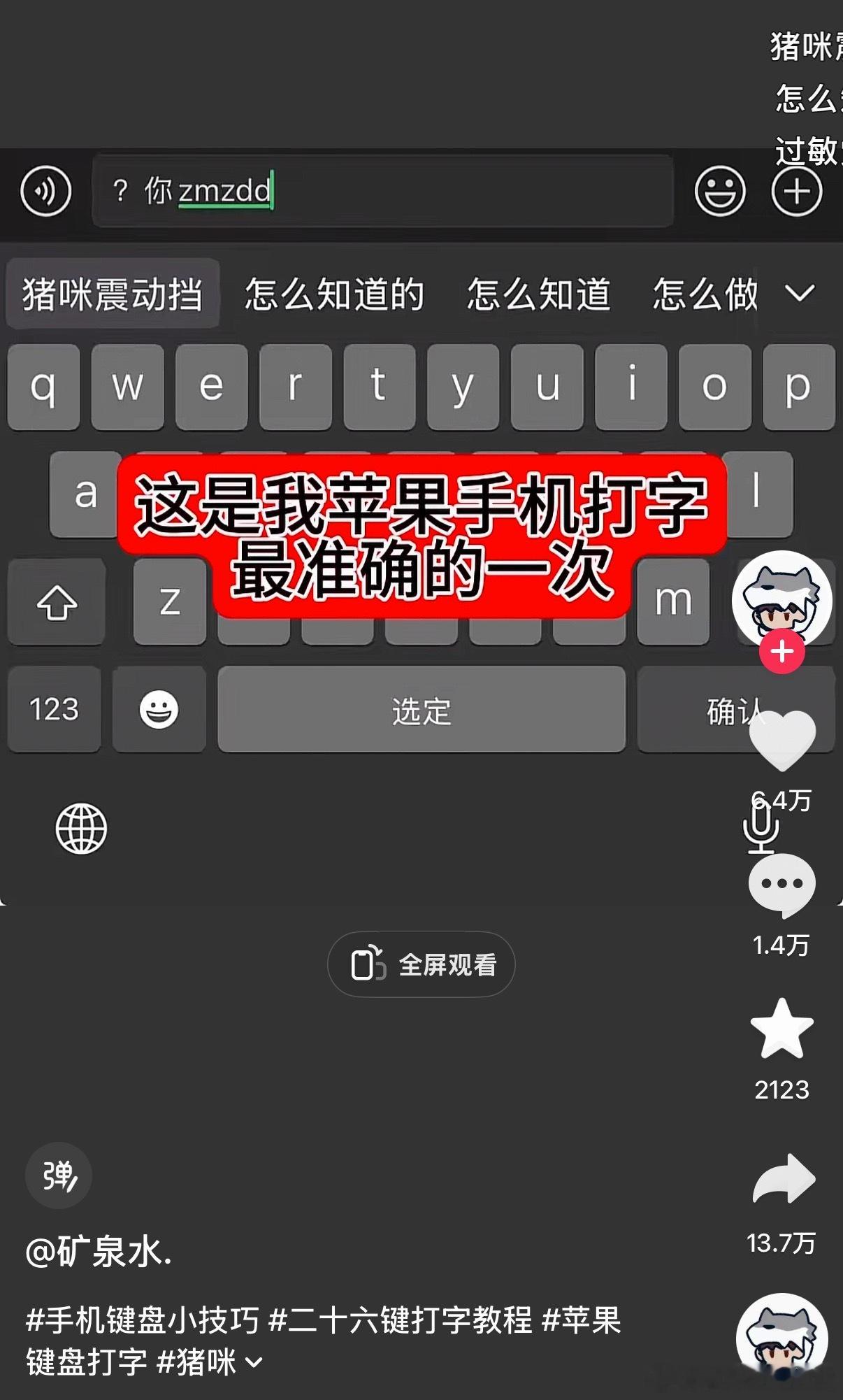 猪咪震动档​​​