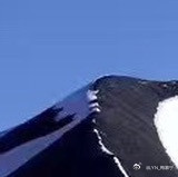 森林驿站|阳光信用每日‬一善 善良是人生的正能量，是一种能够面对人生一切