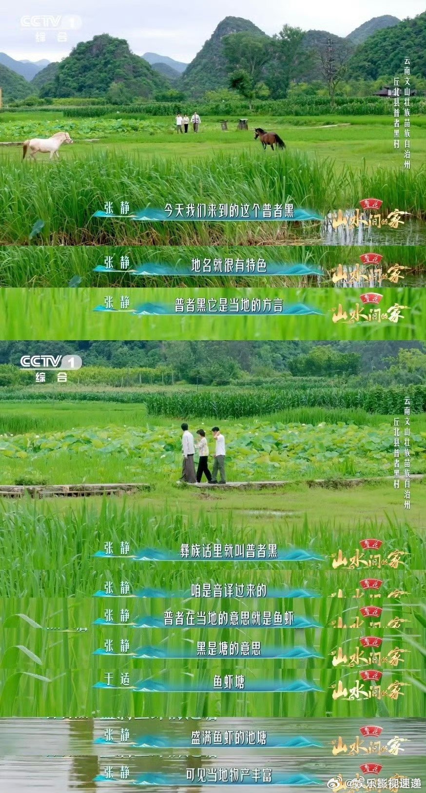 云南颜值太能打了中国乡村藏着一块巨型夹心饼干这里的美食同样不容错过。壮族的五色