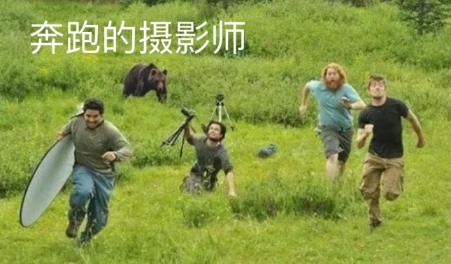 离谱又真实！野生动物竟不攻击摄影师，还乖乖配合拍片？网友揭开真相！