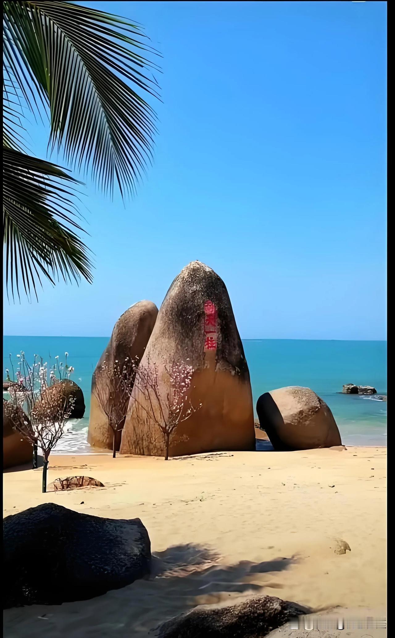 前天去单位六楼打扫会议室，刚进去同事坐在那里学习。就冲我说，星期五不学习，收拾也