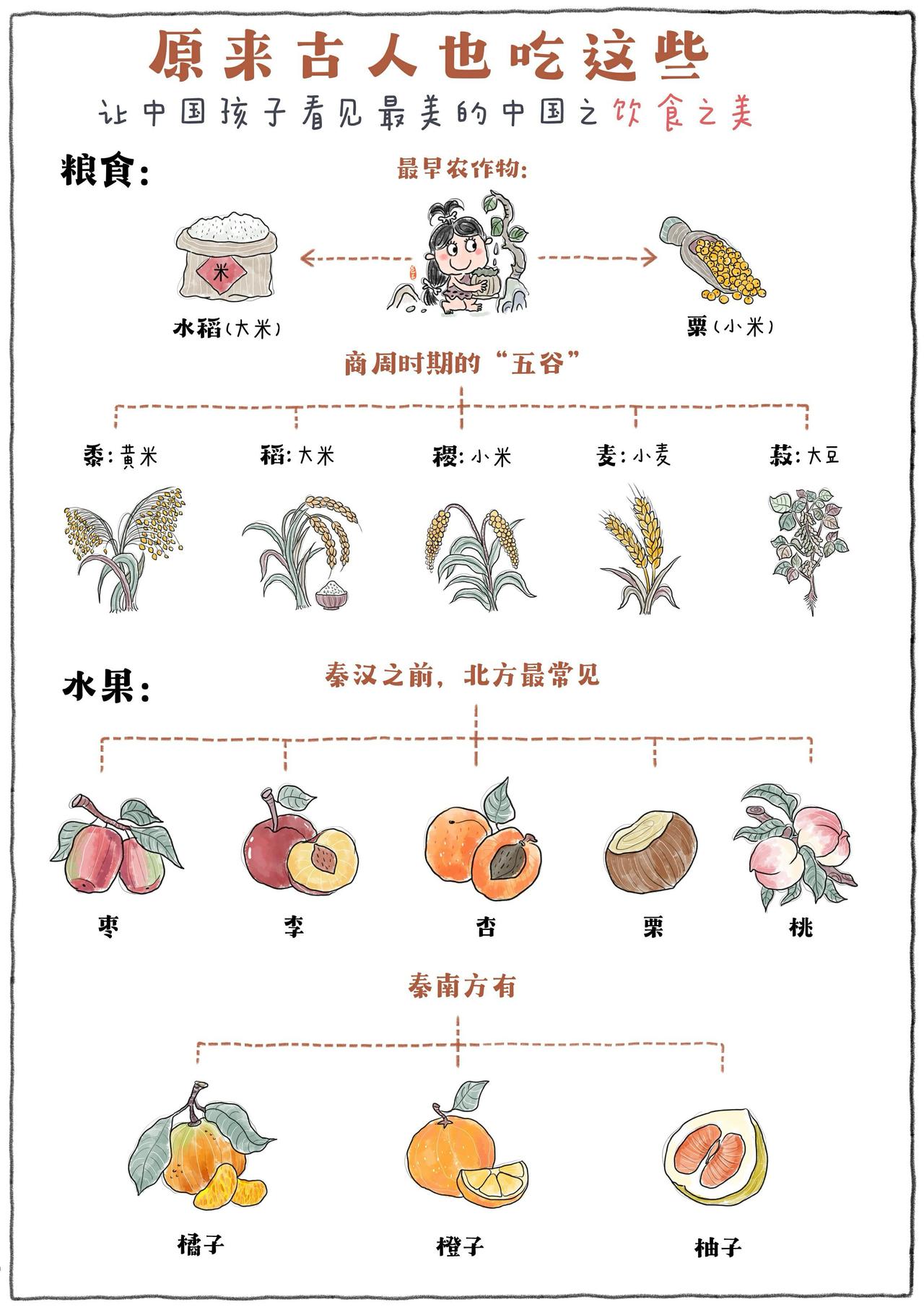 这些常见的粮食蔬菜古代都是啥时候才出现的？