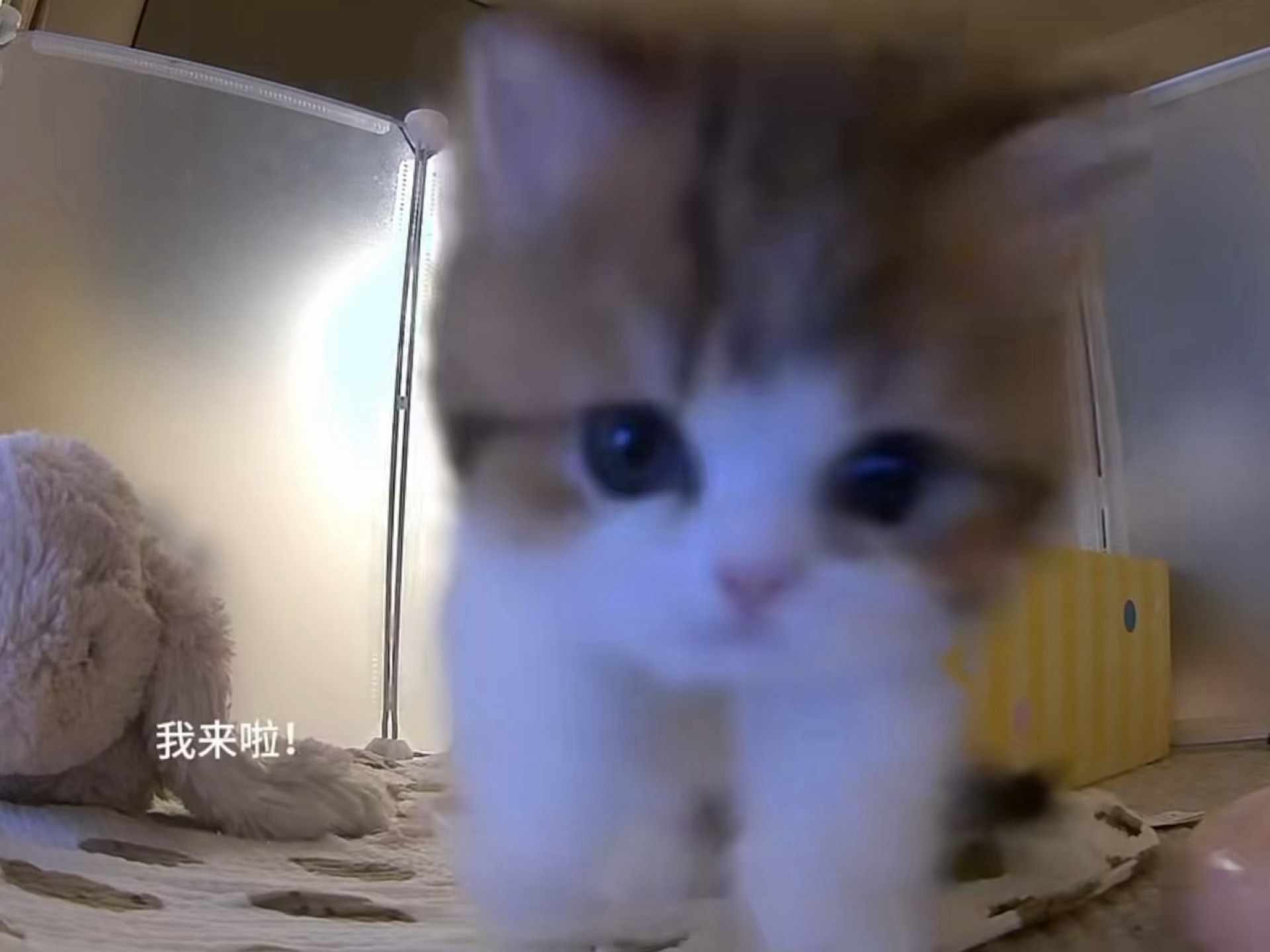 小宝宝探索监控：​​​