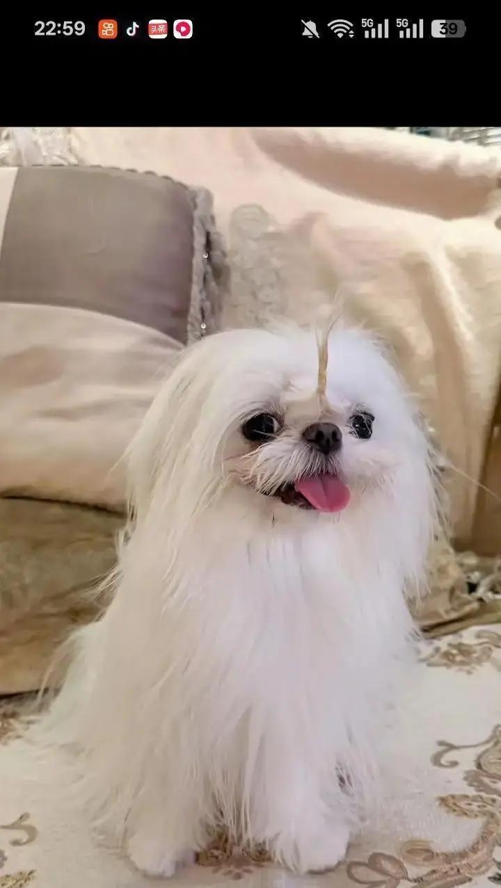 鹿晗关晓彤在北京商场逛到打烊，全程十指紧扣，围巾歪了他随手理好，动作熟得跟呼吸一