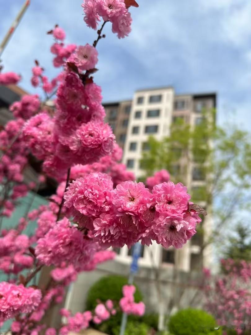午饭的时候，一个老家的人给我打电话，问我儿子的在哪儿上班，是不是在她闺女婆家乡镇