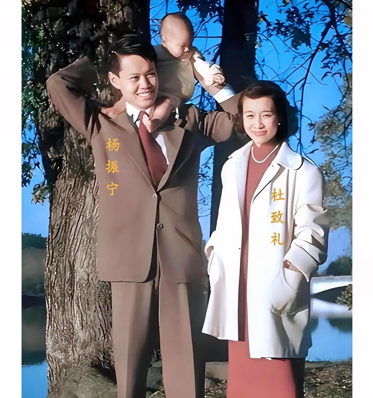 上世纪50年代初，美国，杨振宁一家三口的全家福，他的妻子杜致礼美丽动人，儿子杨光