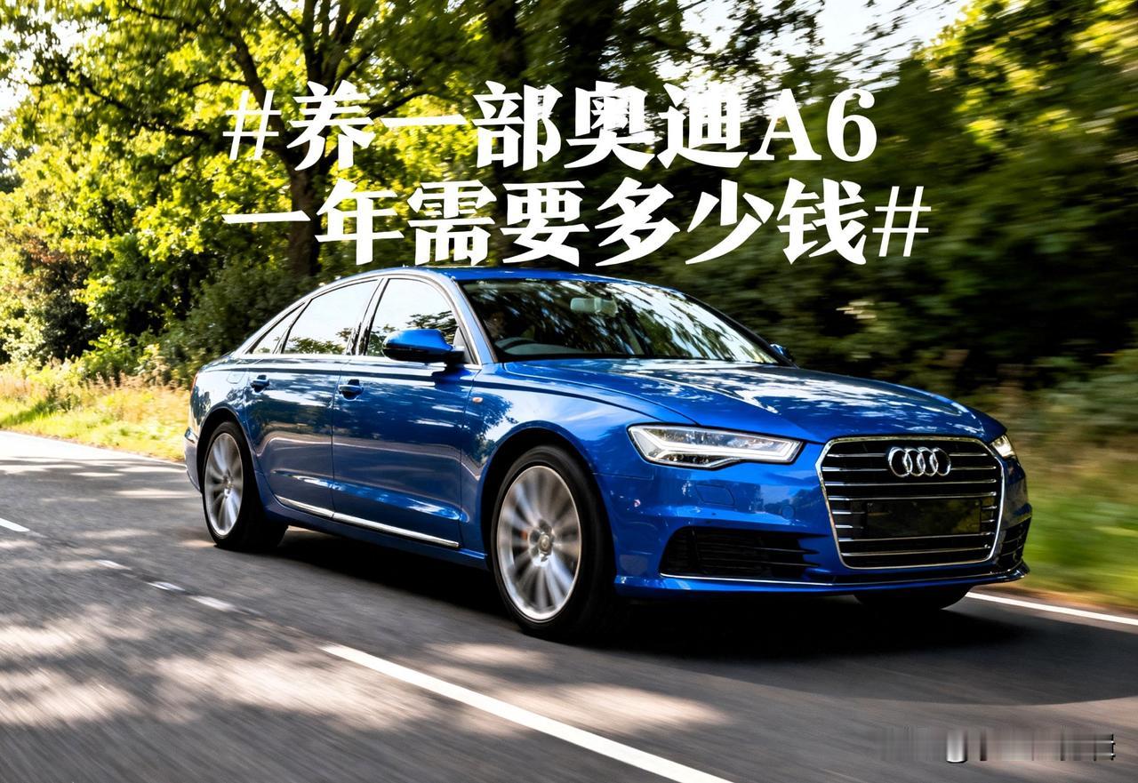 当初咬咬牙提了奥迪A6，以为落地就完事，结果一年下来才发现：买车是一次性投入，养
