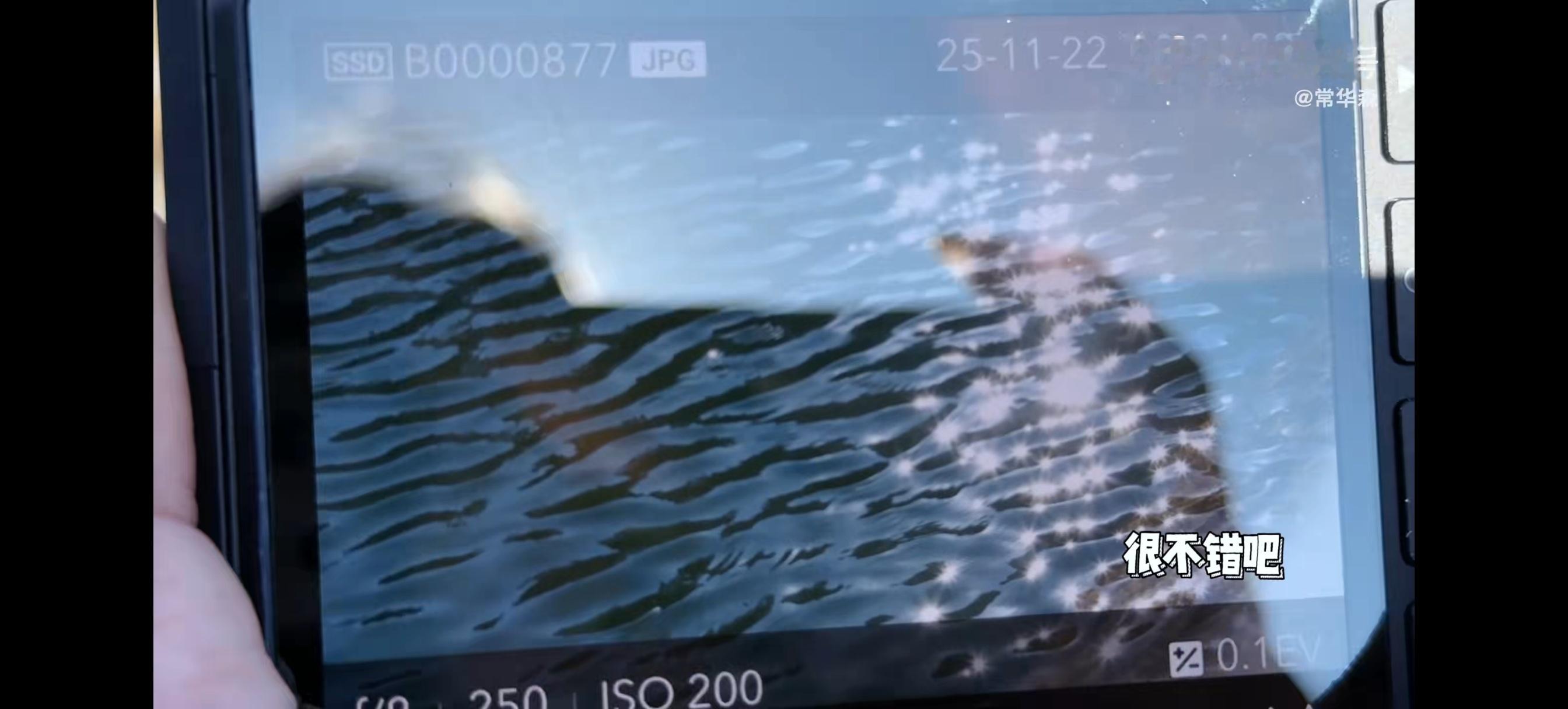 人下次请把你的摄影作品继续放出来