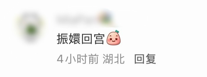 谁说樊振东是振嬛回宫啊啊啊啊啊啊好季度网友的才华