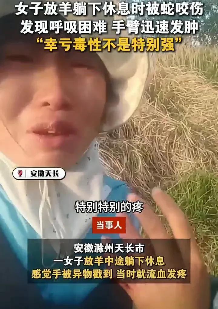 在野外必须提高警惕！5月5日，安徽滁州一名女子在放羊途中，因为累了便躺下来休息，