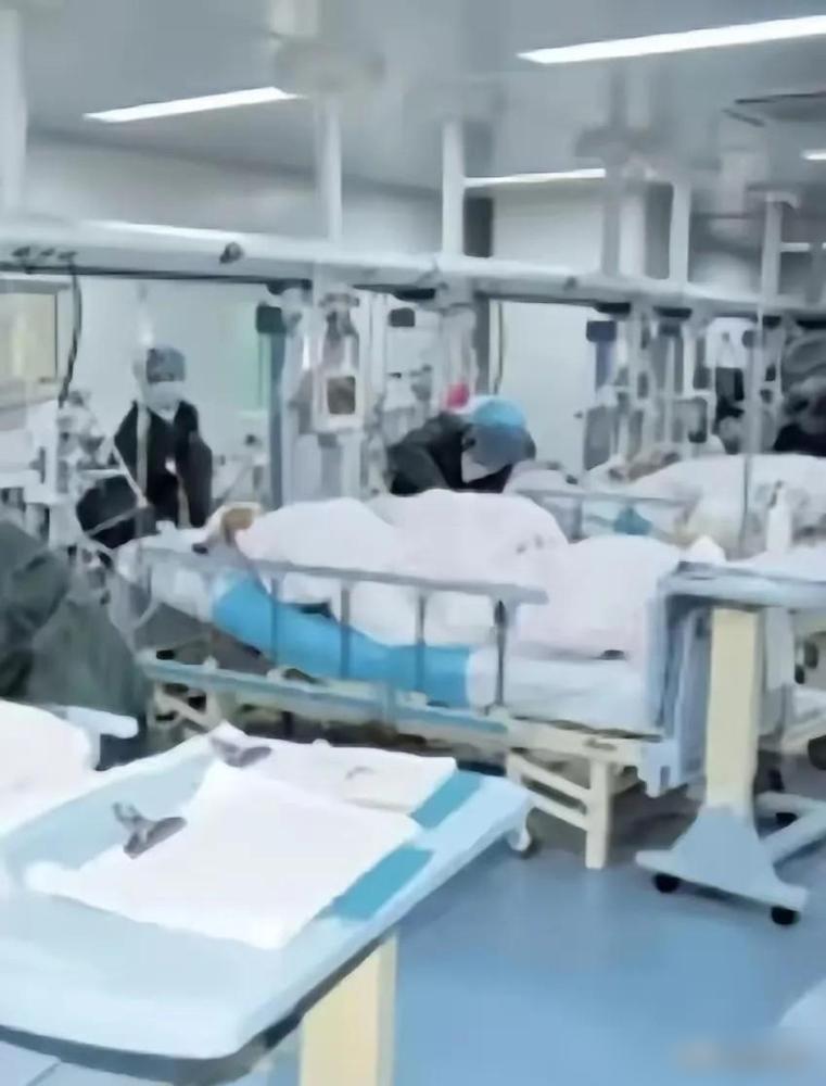 生命太脆弱了。才13岁的半大孩子，就因为生日吃了两块奶油蛋糕、喝了一大瓶可乐