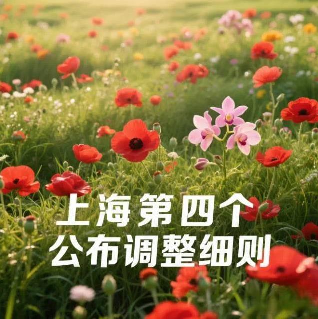 上海是老先进，今年是第四个公布调整细则的省份。已经公布的山东、天津、北京、上海都