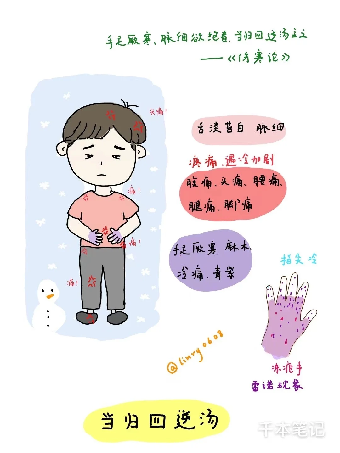 每日经方🌿第4期【当归四逆汤】