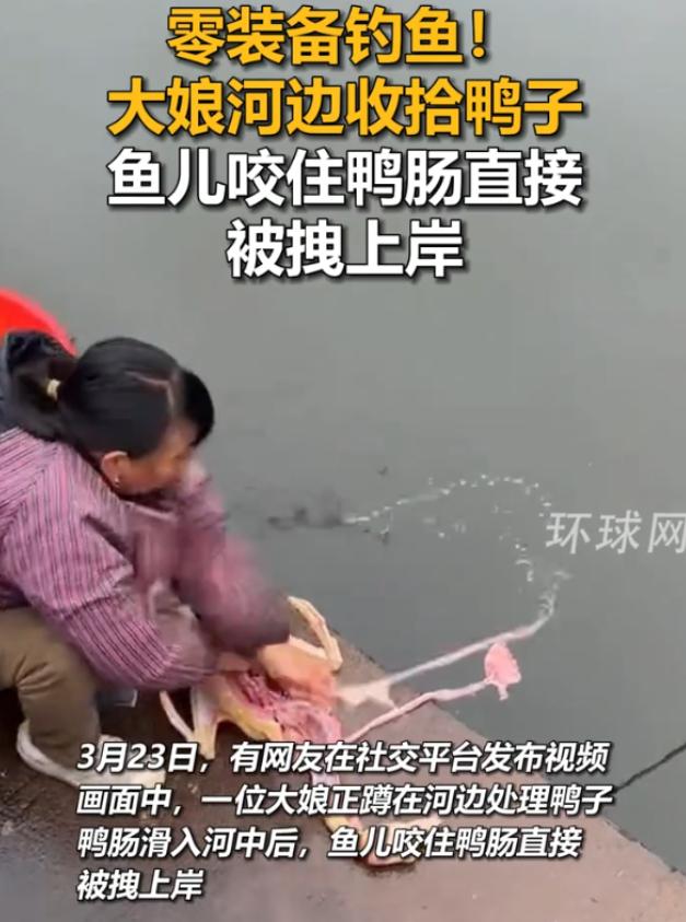 钓鱼佬看到都沉默了！大妈在河边收拾鸭子，在清理内脏时，鸭肠滑进了水里，没想到却带