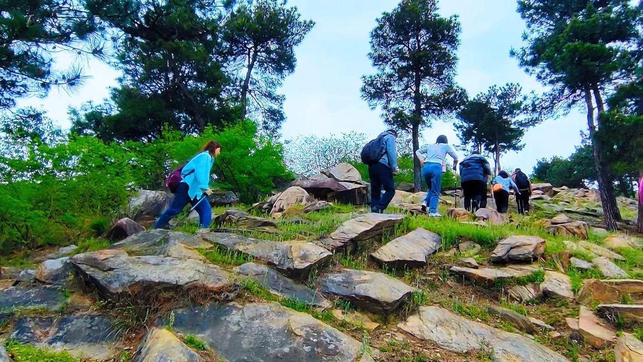 ⛰️徒步山顶感悟：汗水换风景值不值？🥾徒步登山多年，这条崎岖山路依然让我每次都