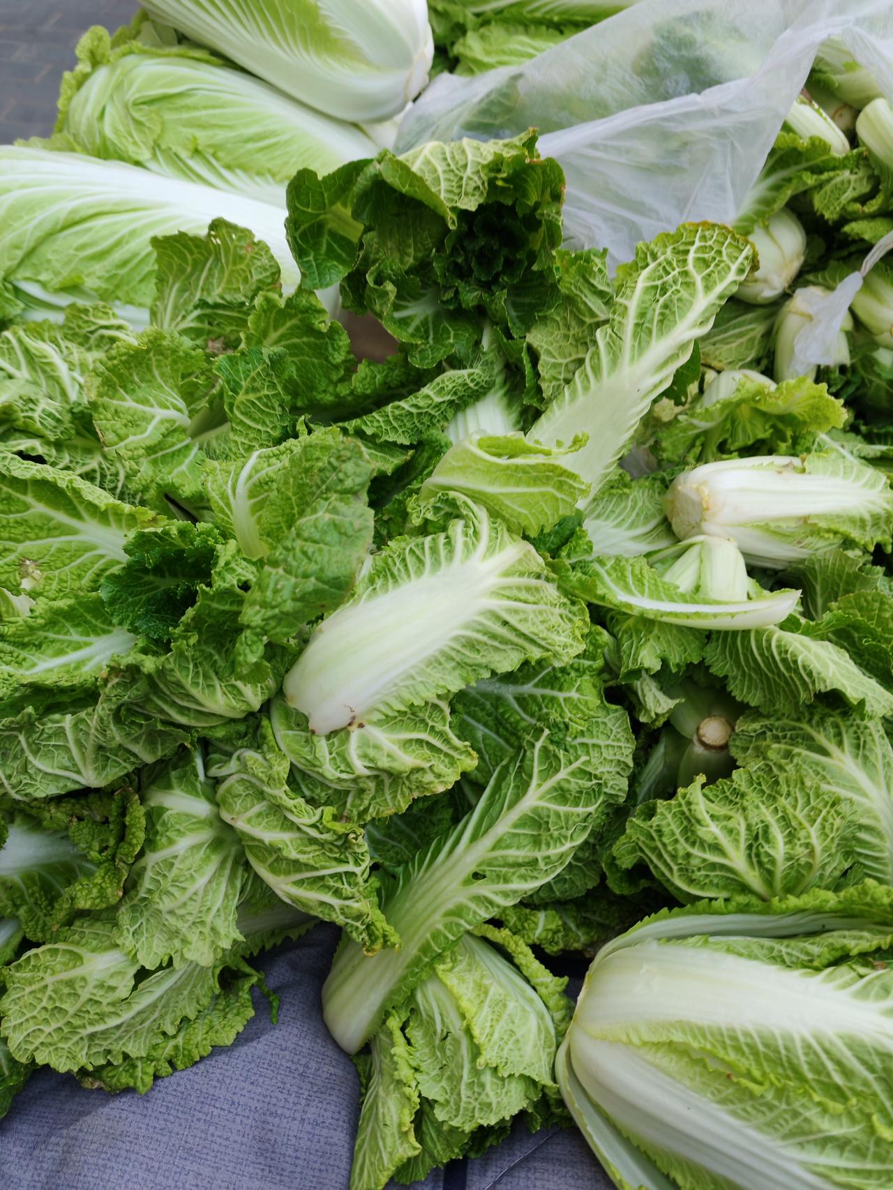 逛菜市场发现个特有意思的现象我发现老年人和年轻人买白菜完全不同大叔大妈这些