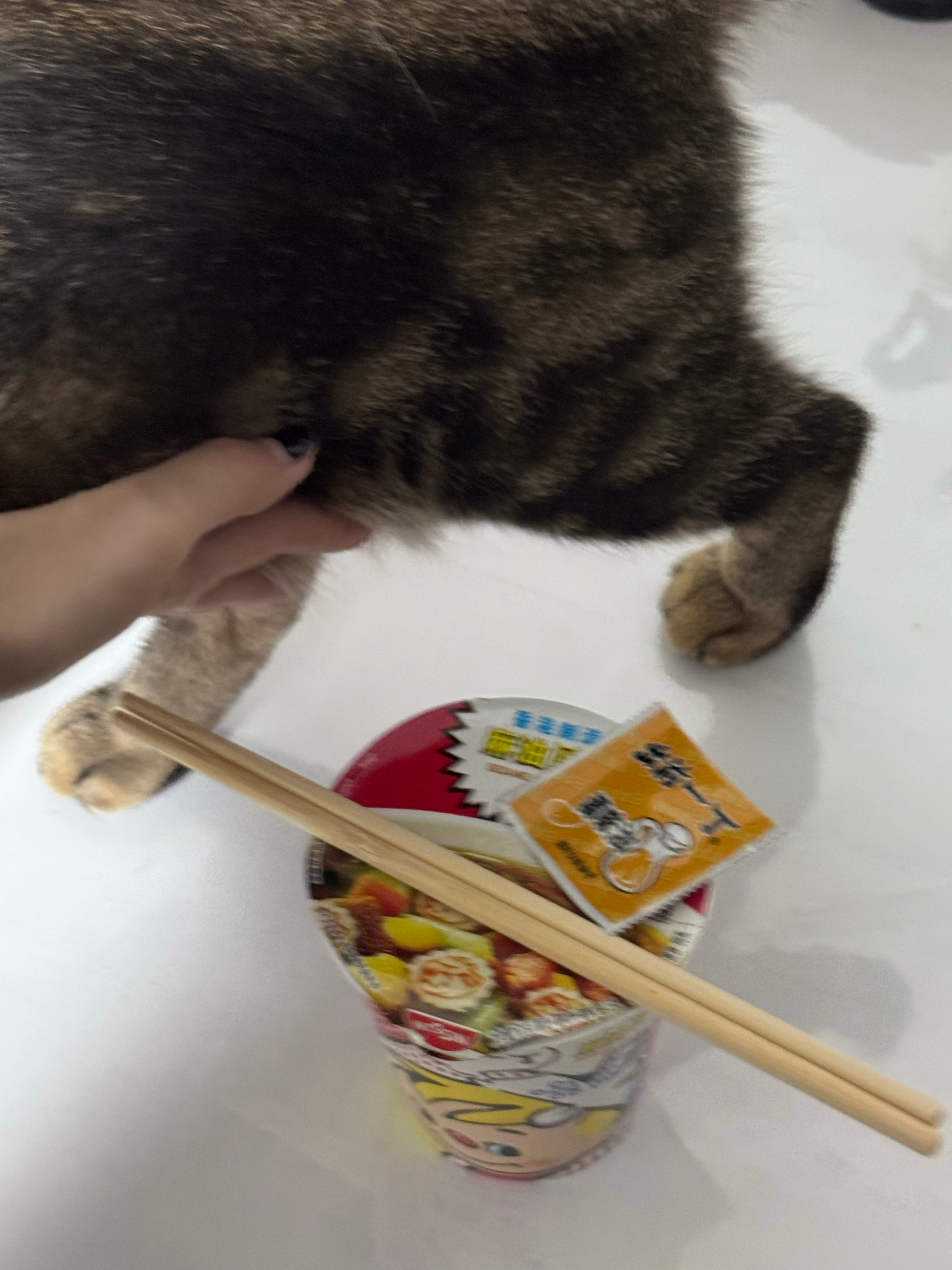 我们不能过每天都一样的生活吗我们不能每天都像今天一样一起玩游戏一起吃饭吗人为