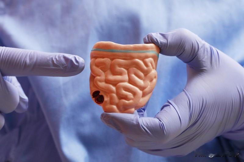 原来人活着，核心使命是给屎保温！刷到个冷知识直接惊掉下巴：咱这辈子忙活半天，