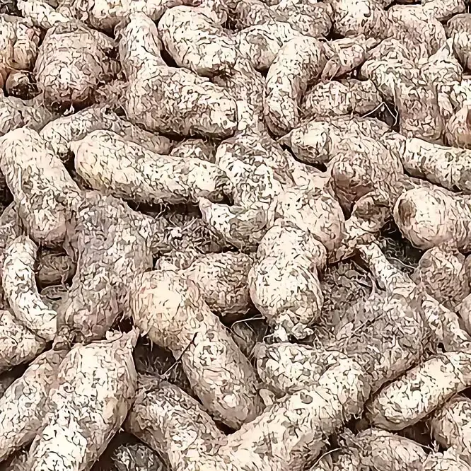 大家有知道的吗？这个怎么做好吃？在线等！