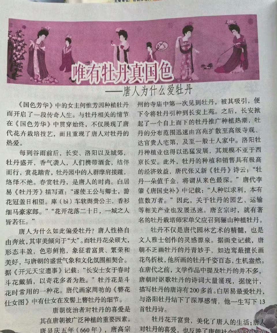 我宣布现在全网最自豪的就是杨紫了杨紫真的太优秀了，《国色芳华》从剧情到内核，