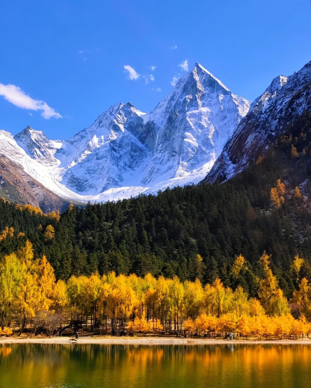 未来的幼儿园，小学的培训机构的数量还会不断的减少，因为人口已经在出现下滑了。再加