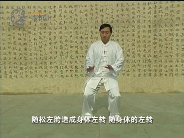 陈式太极拳40式表演套路--(陈斌)_土豆视频