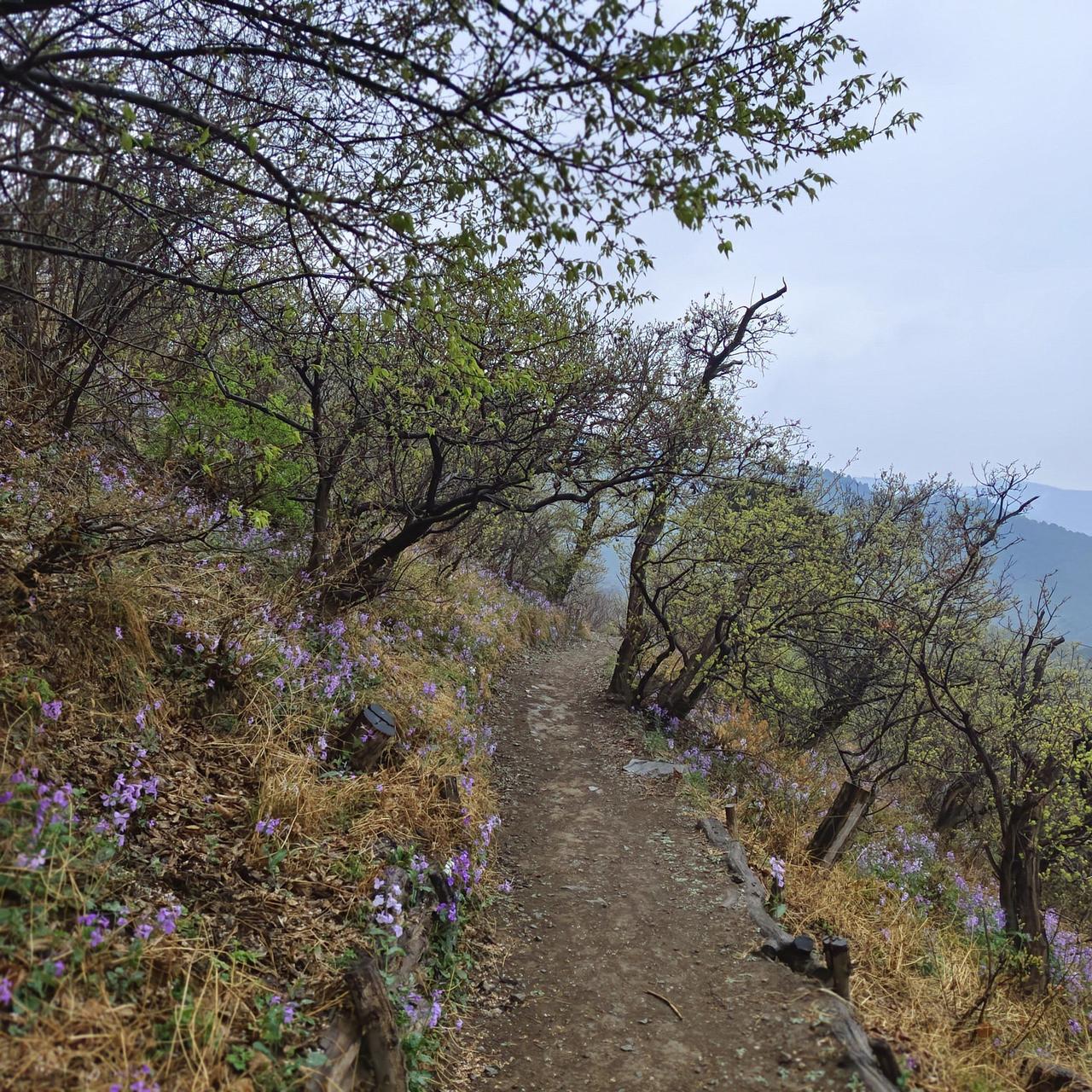 人长得老相点儿也有好处。上世纪八十年代末，我的家乡马啸岭上，常有小青年学绿林好