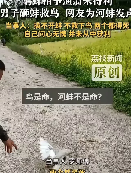 彻底解释不清了”四川广安，有一位村民骑着电动车回家，看到路边有一只白鸟的脚被河蚌