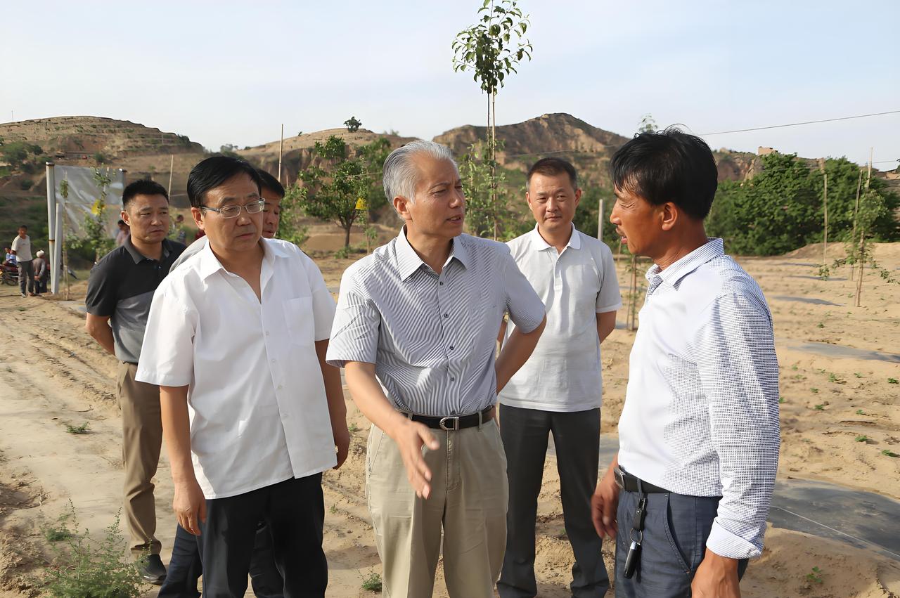 “我这一辈子最后悔的事情，就是当了30年的村干部！”堂哥今年62岁，按照镇里