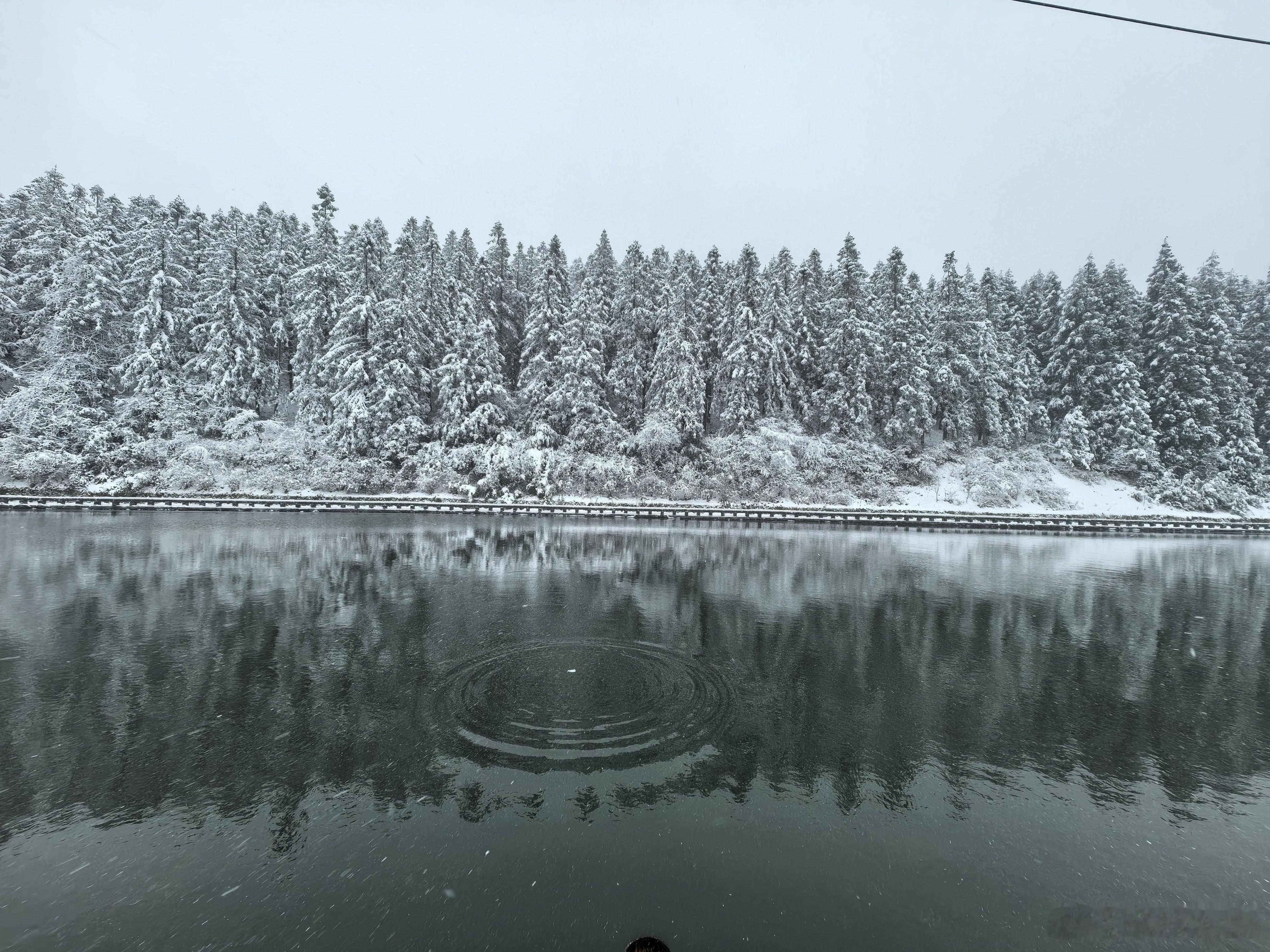 这是重庆，儿豁！重庆·仙女山国家森林公园